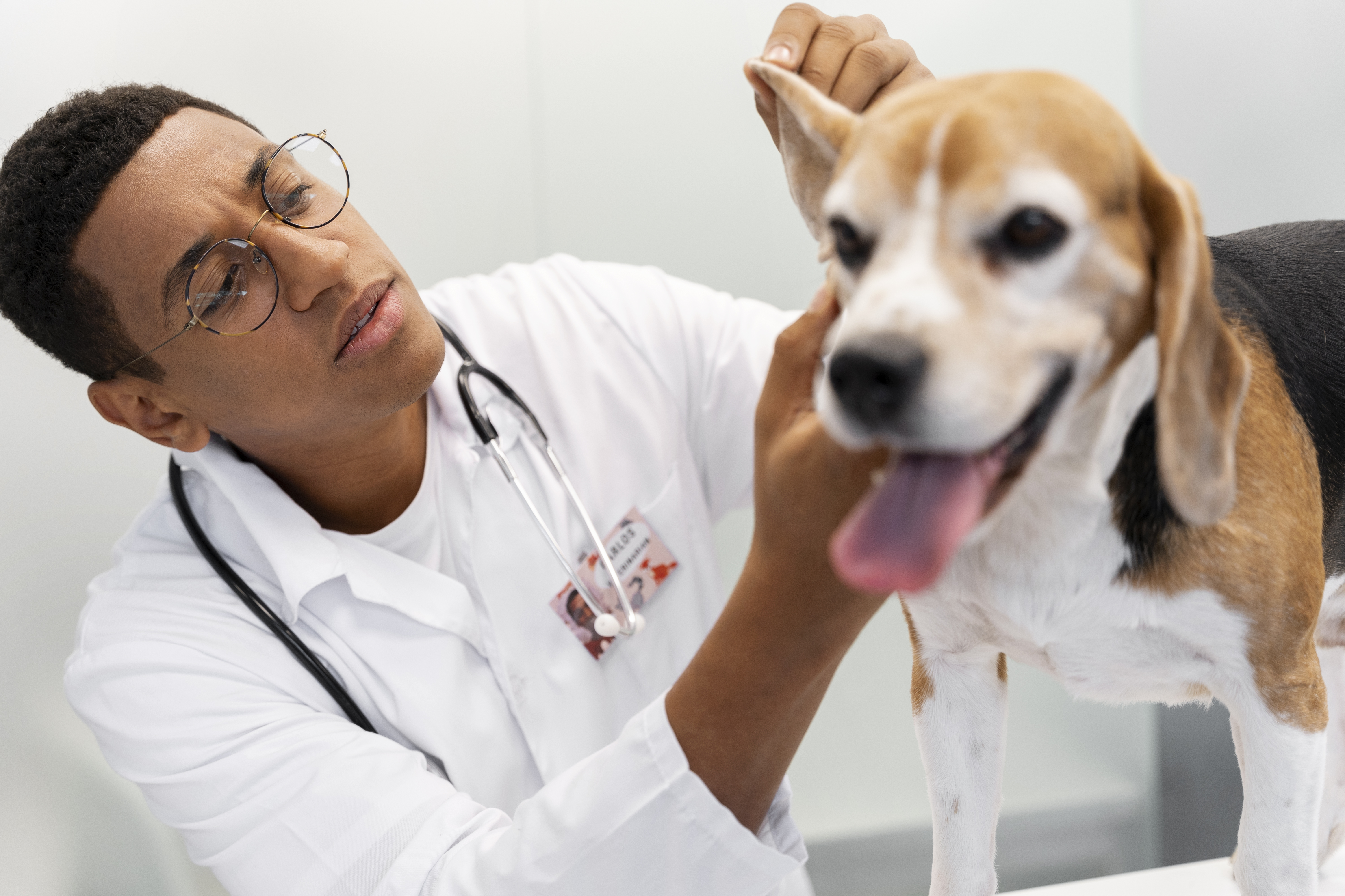 Veterinary Education